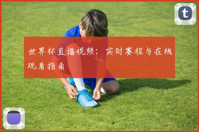 世界杯直播视频：实时赛程与在线观看指南