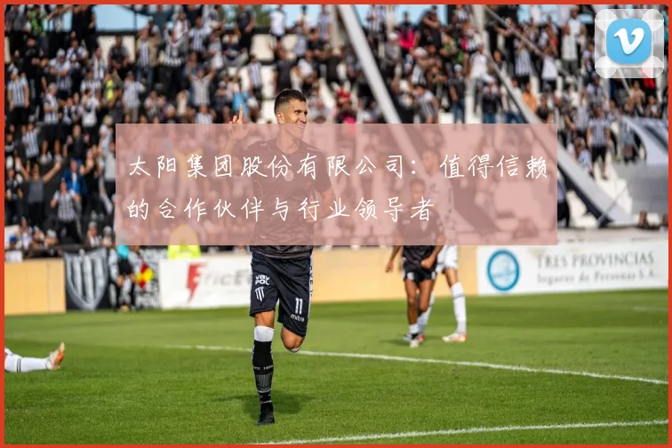 太阳集团股份有限公司：值得信赖的合作伙伴与行业领导者