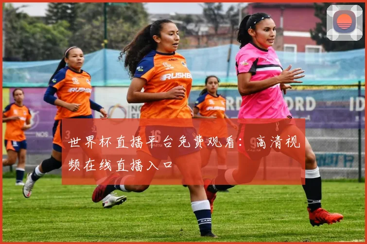世界杯直播平台免费观看：高清视频在线直播入口