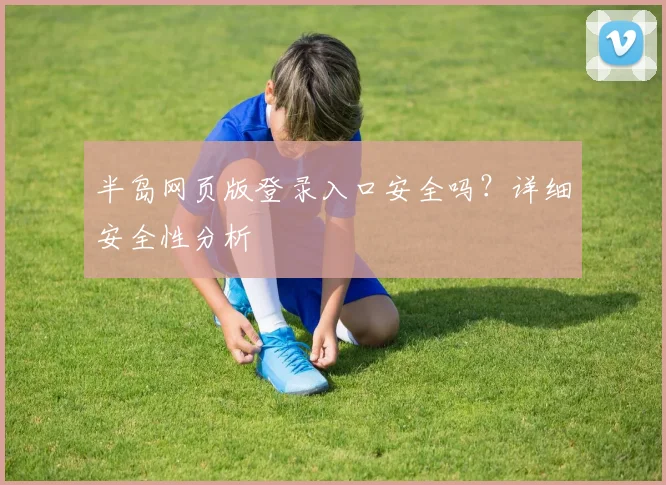 半岛网页版登录入口安全吗?详细安全性分析