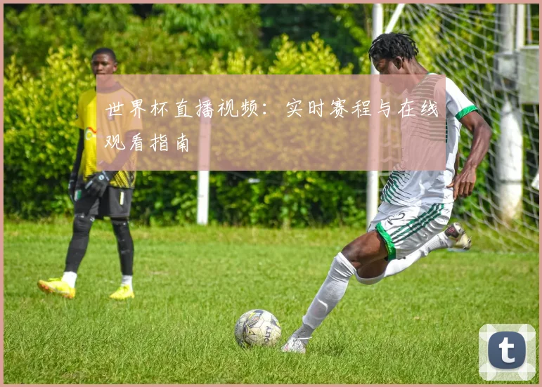 世界杯直播视频：实时赛程与在线观看指南